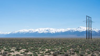 Güzel dağ manzarasına karşı yeşil çöl çayırı, karla kaplı dağlar