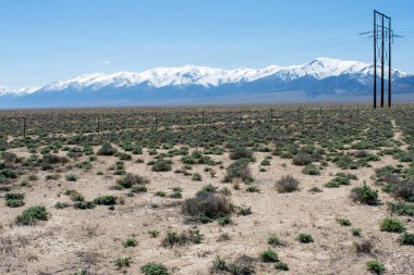 Güzel dağ manzarasına karşı yeşil çöl çayırı, karla kaplı dağlar