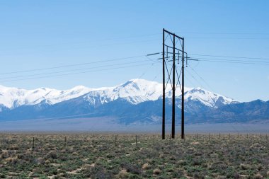 Güzel dağ manzarasına karşı yeşil çöl çayırı, karla kaplı dağlar