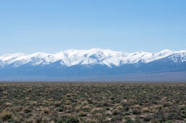 Güzel dağ manzarasına karşı yeşil çöl çayırı, karla kaplı dağlar