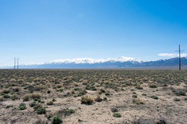 Güzel dağ manzarasına karşı yeşil çöl çayırı, karla kaplı dağlar