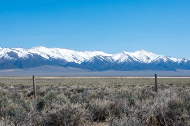 Güzel dağ manzarasına karşı yeşil çöl çayırı, karla kaplı dağlar