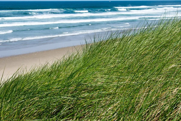 Vakker Blå Kyst Med Sandstrand – stockfoto