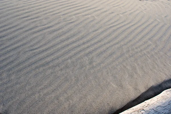 Dune Sable Plage Été Texture Motif Soleil — Photo