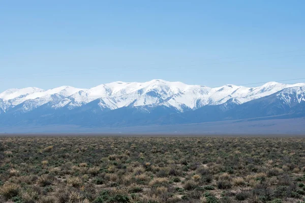 Güzel dağ manzarasına karşı yeşil çöl çayırı, karla kaplı dağlar
