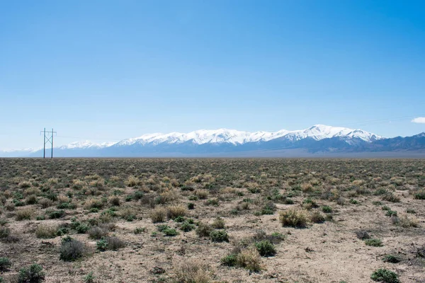 Güzel dağ manzarasına karşı yeşil çöl çayırı, karla kaplı dağlar