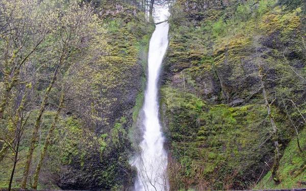 Beautiful White Waterfall Green Moss Covered Rock Mountain — Stock Photo, Image