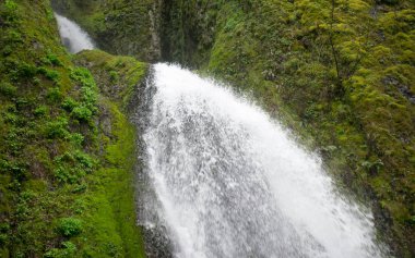 yeşil yosun kaplı kaya dağ üzerinde güzel beyaz şelale