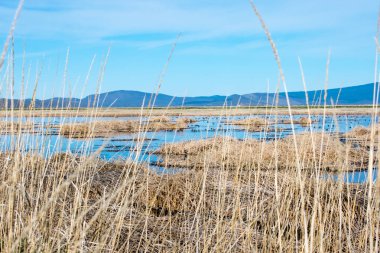 alan ve dağlar ile mavi göl ve gökyüzü
