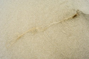 Nehir kıyısında desenli kum deseni