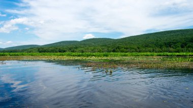Pürüzsüz su ile Riverside
