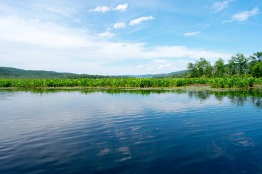Pürüzsüz su ile Riverside