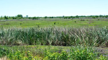 Stand su ile Bataklık