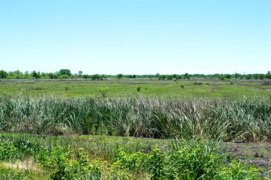 Stand su ile Bataklık