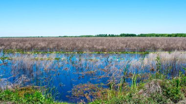 Stand su ile Bataklık
