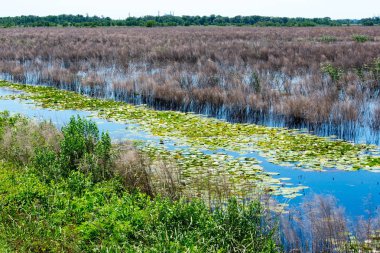Stand su ile Bataklık