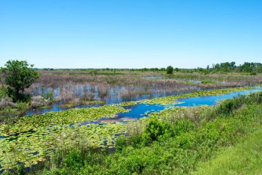 Stand su ile Bataklık