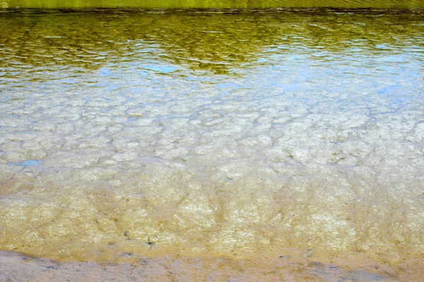 Žlutohnědá Barva Bažinných Vod — Stock fotografie