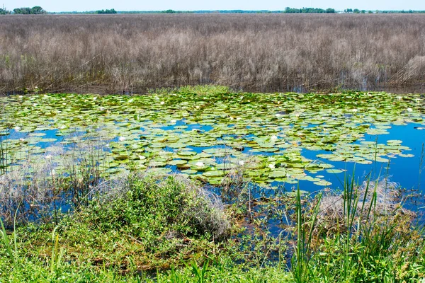 Stand su ile Bataklık