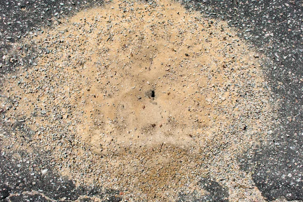 Texture Sand Closeup — Stock Photo, Image