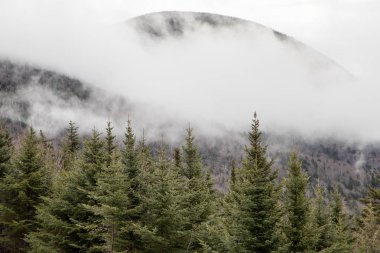 Düşük bulutlu yeşilimsi dağlar