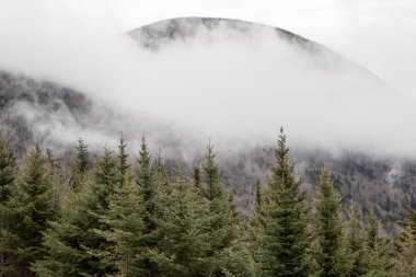 Düşük bulutlu yeşilimsi dağlar
