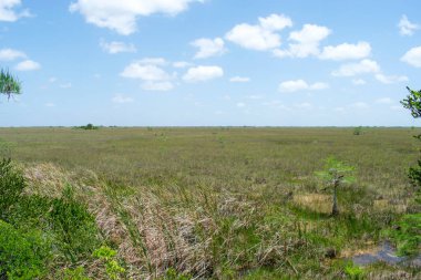 Mavi gökyüzü ile yeşil alan
