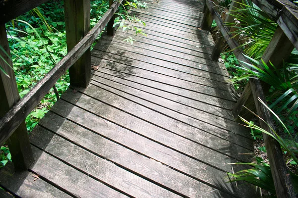 Wooden Trail Green Forest — Stock Photo, Image