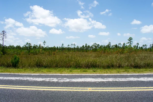 Estrada Asfalto Afiada Com Campo Grama Verde — Fotografia de Stock