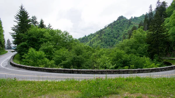 Berge Mit Üppig Grünen Bäumen Bedeckt — Stockfoto