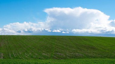 Olgunlaşma tesisleri ile yeşil alan