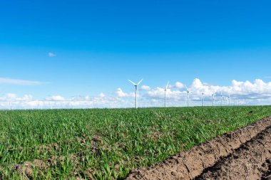 yel değirmenleri ile yeşil çim sahası