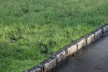 Parkta yeşil çimenler, doğa.