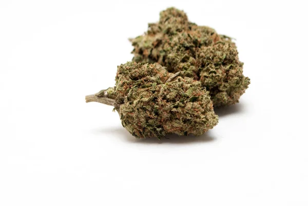 Marihuana Bílém Pozadí Koncept Drogové Závislosti Koncepce Lékařské Marihuany — Stock fotografie