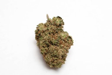 Beyaz arka planda esrar. Uyuşturucu bağımlılığı kavramı. Tıbbi esrar kavramı 