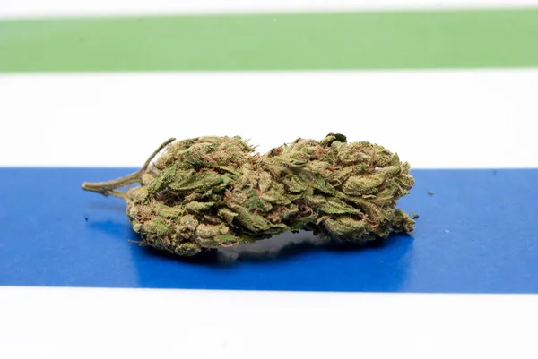 Getrocknetes Marihuana Auf Bunt Gestreiftem Hintergrund Drogenabhängigkeit Medizinisches Marihuana Konzept — Stockfoto