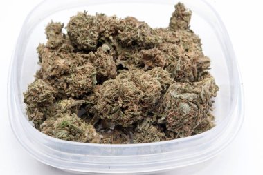 Plastik konteynırda kurutulmuş marijuana. Uyuşturucu bağımlılığı kavramı. Tıbbi esrar kavramı 