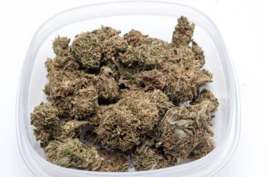 Plastik konteynırda kurutulmuş marijuana. Uyuşturucu bağımlılığı kavramı. Tıbbi esrar kavramı 