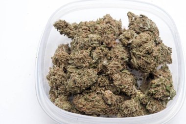 Plastik konteynırda kurutulmuş marijuana. Uyuşturucu bağımlılığı kavramı. Tıbbi esrar kavramı 