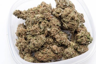 Plastik konteynırda kurutulmuş marijuana. Uyuşturucu bağımlılığı kavramı. Tıbbi esrar kavramı 