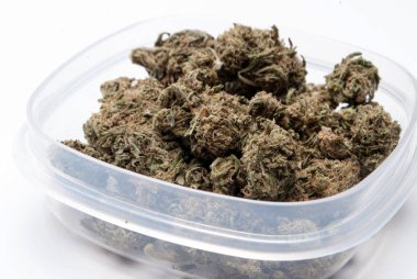 Plastik konteynırda kurutulmuş marijuana. Uyuşturucu bağımlılığı kavramı. Tıbbi esrar kavramı 