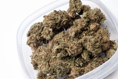 Plastik konteynırda kurutulmuş marijuana. Uyuşturucu bağımlılığı kavramı. Tıbbi esrar kavramı 