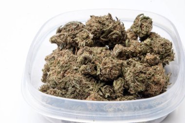 Plastik konteynırda kurutulmuş marijuana. Uyuşturucu bağımlılığı kavramı. Tıbbi esrar kavramı 