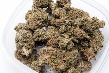 Plastik konteynırda kurutulmuş marijuana. Uyuşturucu bağımlılığı kavramı. Tıbbi esrar kavramı 