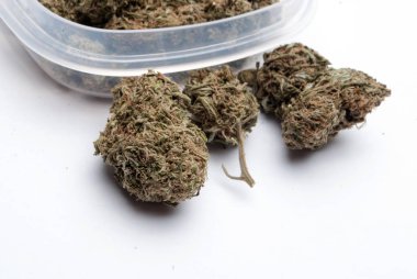 Plastik konteynırda kurutulmuş marijuana. Uyuşturucu bağımlılığı kavramı. Tıbbi esrar kavramı 