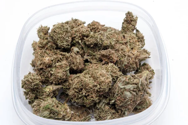 Torkad Marijuana Plastbehållare Narkotika Missbruk Koncept Medicinsk Marijuana Koncept — Stockfoto