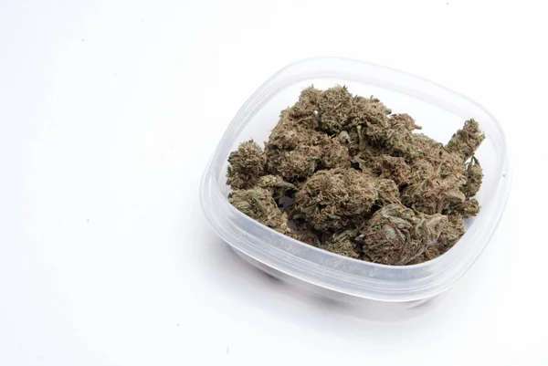 Torkad Marijuana Plastbehållare Narkotika Missbruk Koncept Medicinsk Marijuana Koncept — Stockfoto