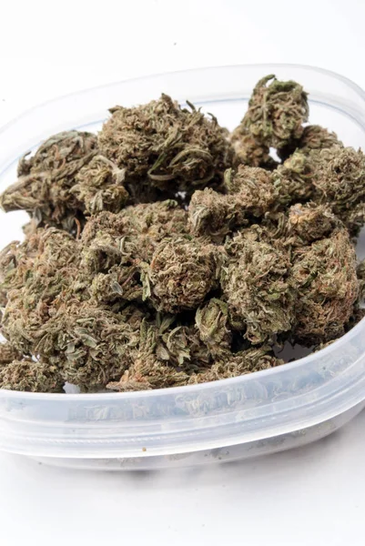 Plastik konteynırda kurutulmuş marijuana. Uyuşturucu bağımlılığı kavramı. Tıbbi esrar kavramı 