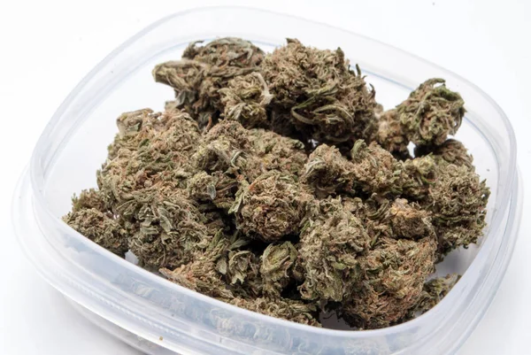 Suszona Marihuana Plastikowym Pojemniku Koncepcja Uzależnienia Narkotyków Koncepcja Medyczna Marihuana — Zdjęcie stockowe