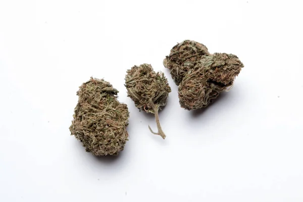 Gedroogde Marihuana Drugsverslaving Concept Medisch Marihuana Concept — Stockfoto